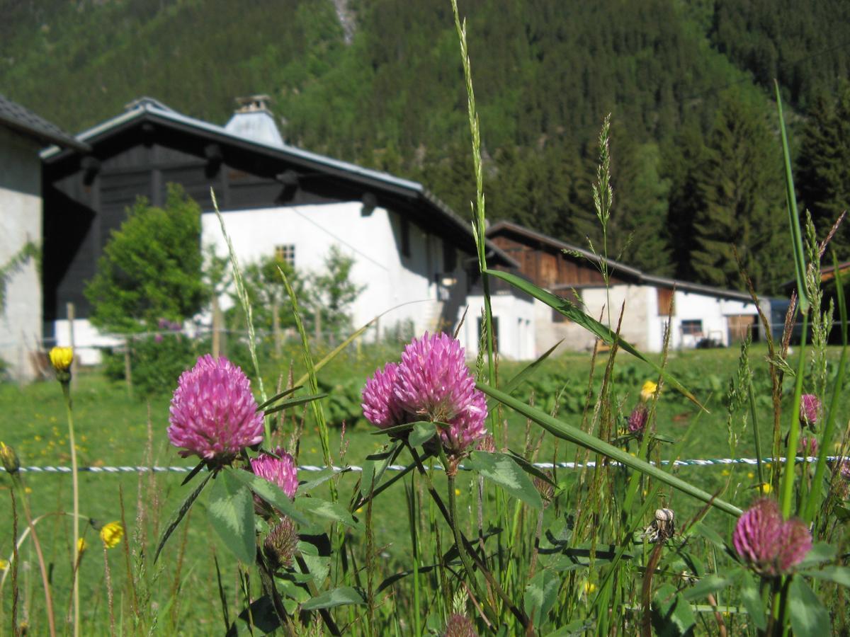 Gite Nouveau Grassonnet Chamonix Mont Blanc Exterior foto